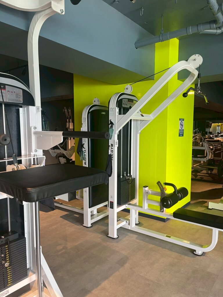 YLC GYM